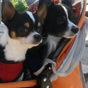 Meet your Posher, Jen